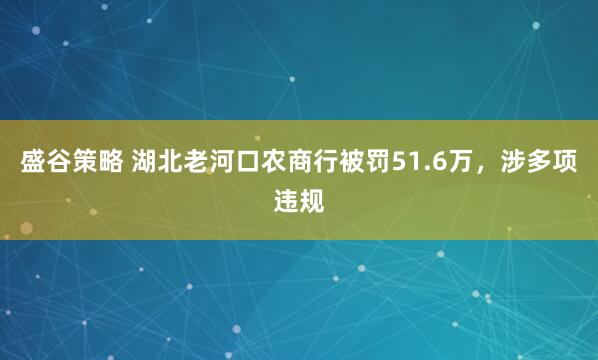 盛谷策略 湖北老河口农商行被罚51.6万，涉多项违规