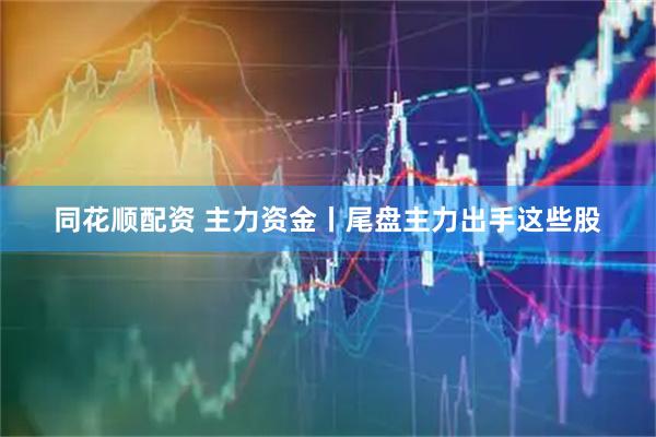 同花顺配资 主力资金丨尾盘主力出手这些股