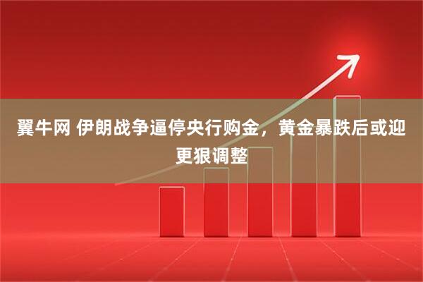 翼牛网 伊朗战争逼停央行购金，黄金暴跌后或迎更狠调整