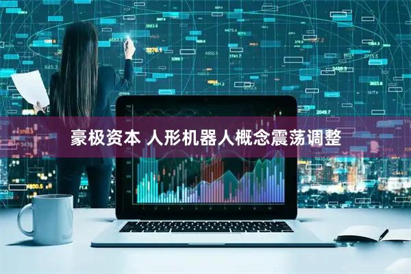 豪极资本 人形机器人概念震荡调整