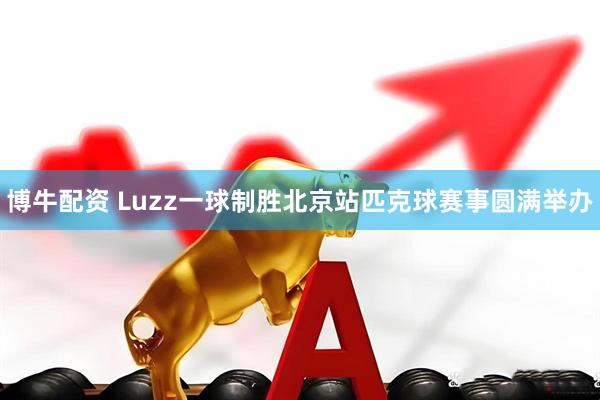 博牛配资 Luzz一球制胜北京站匹克球赛事圆满举办