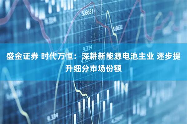 盛金证券 时代万恒：深耕新能源电池主业 逐步提升细分市场份额