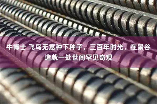 牛博士 飞鸟无意种下种子，三百年时光，在景谷造就一处世间罕见奇观